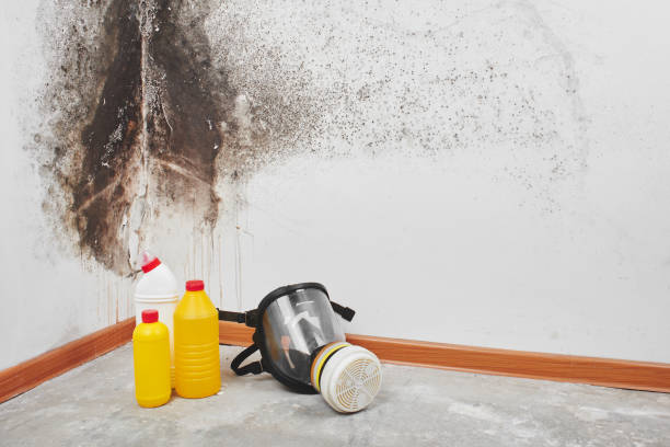 Best Industrial Mold Remediation in Clisle, AR